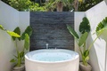 Deluxe Jacuzzi Beach Villa