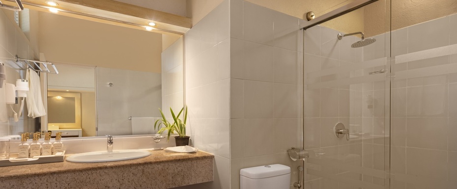 Classic Ocean View Room